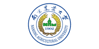 PG电子·仿照器(试玩游戏)官方网站