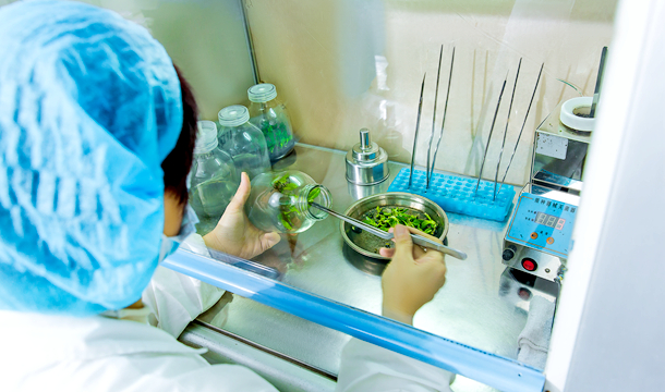PG电子·仿照器(试玩游戏)官方网站