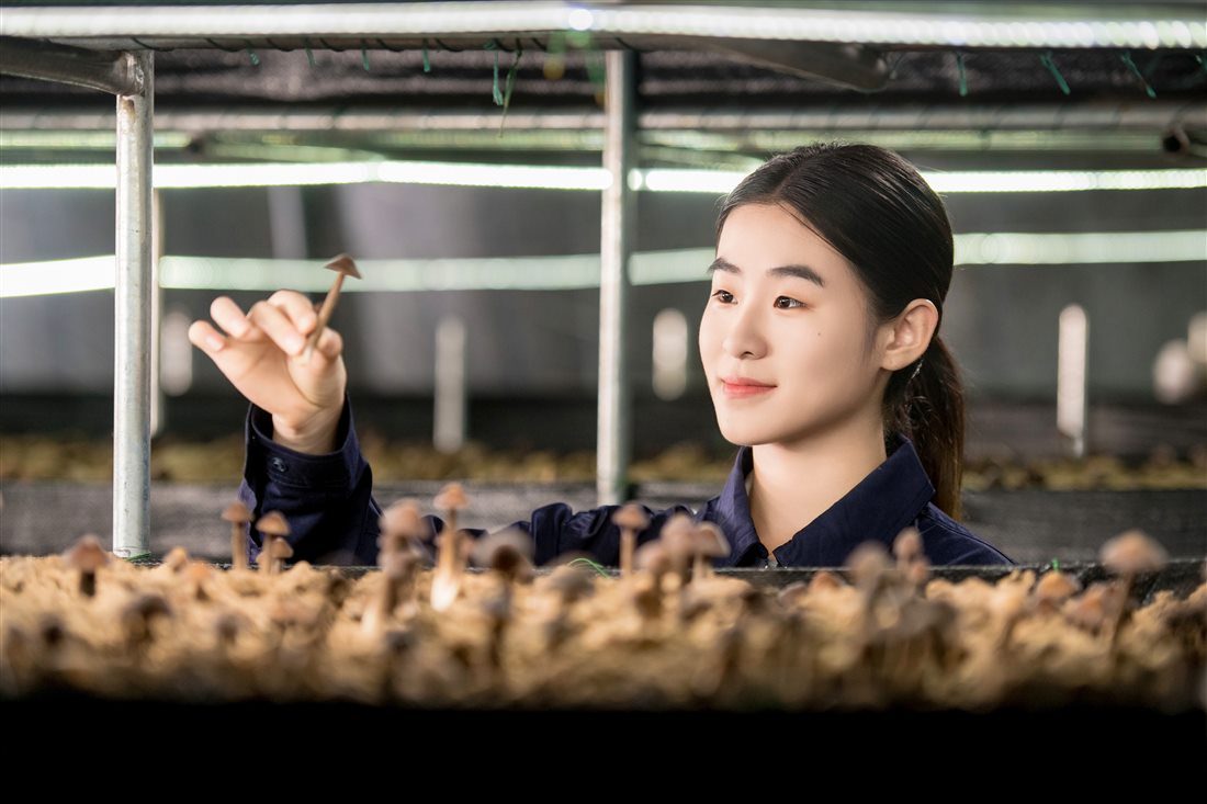 PG电子·仿照器(试玩游戏)官方网站